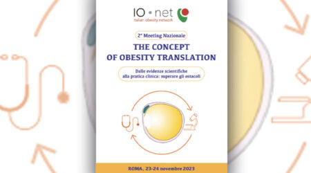 The Concept of Obesity Translation