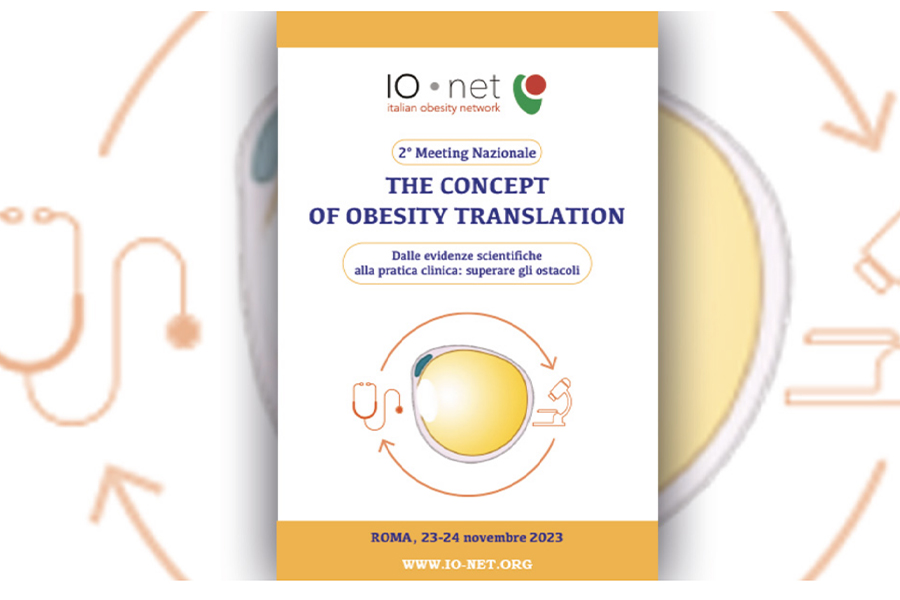 The Concept of Obesity Translation